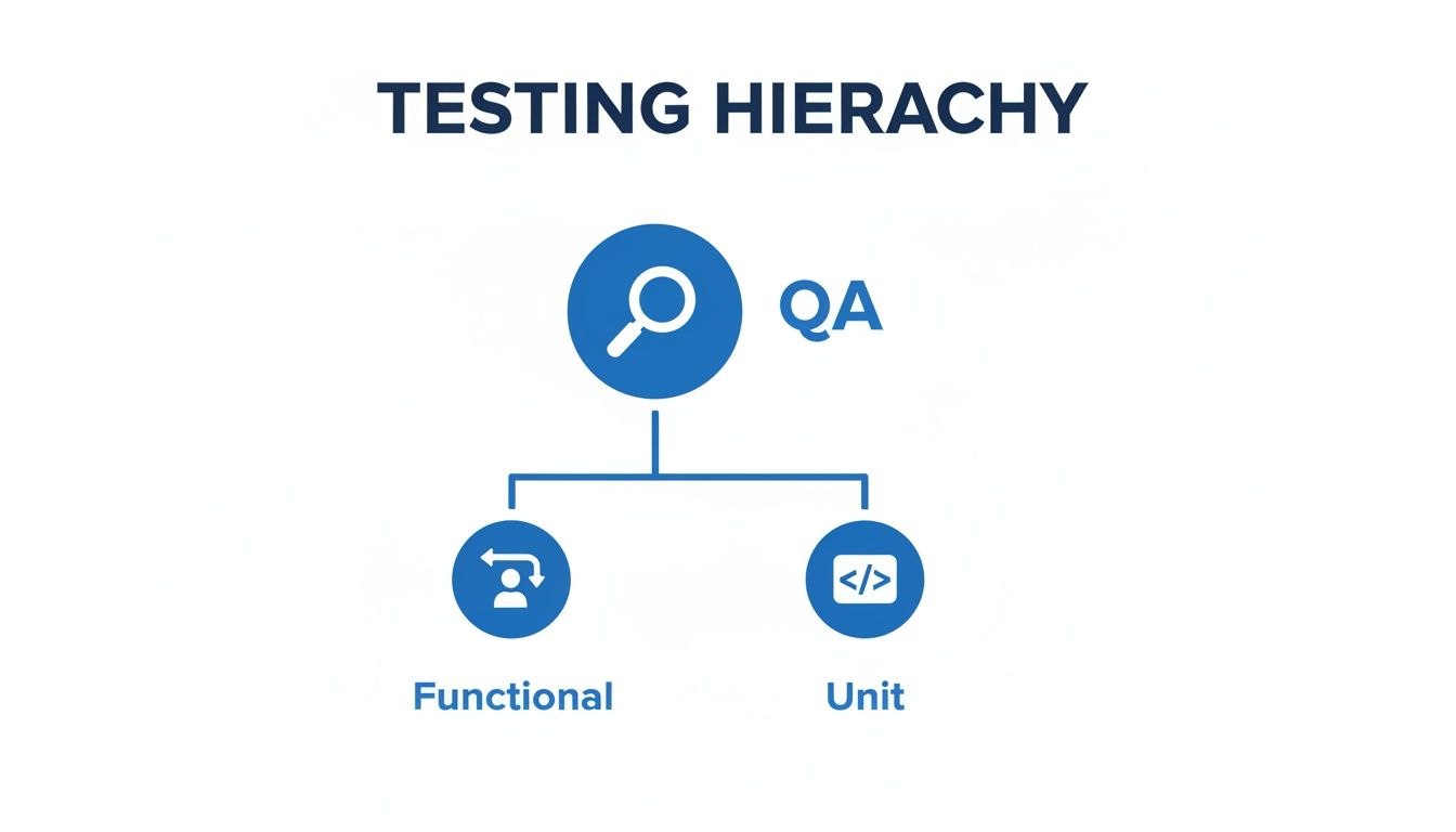 A blue diagram titled 'TESTING HIERARCHY' showing QA, Functional, and Unit testing types.